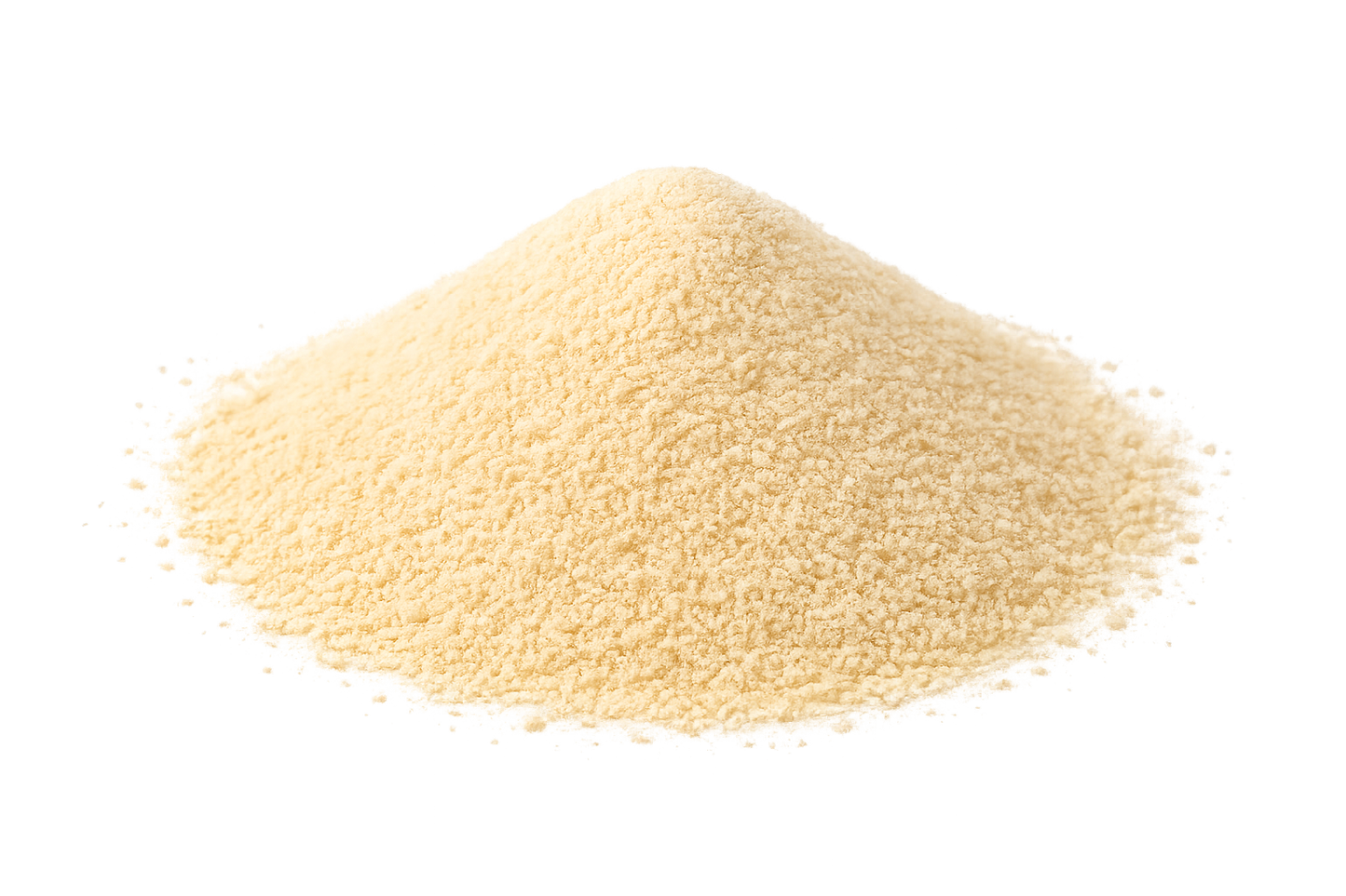 Ajo En Polvo 100Gr