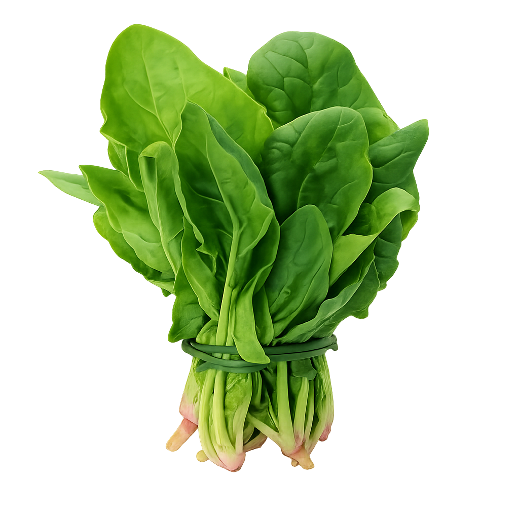 Espinaca2