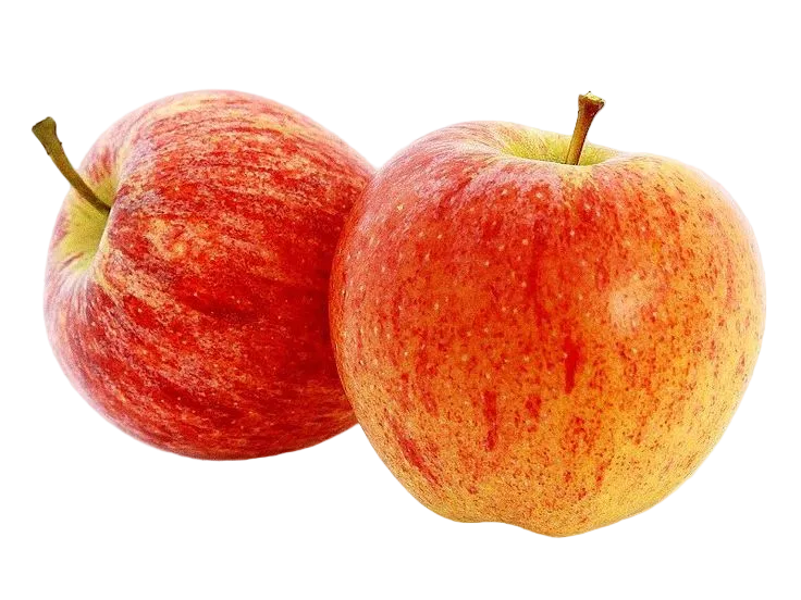 Manzana gala