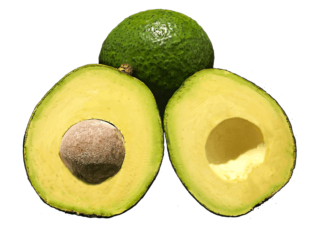 Palta Brasilera