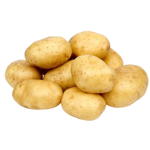 papa blanca