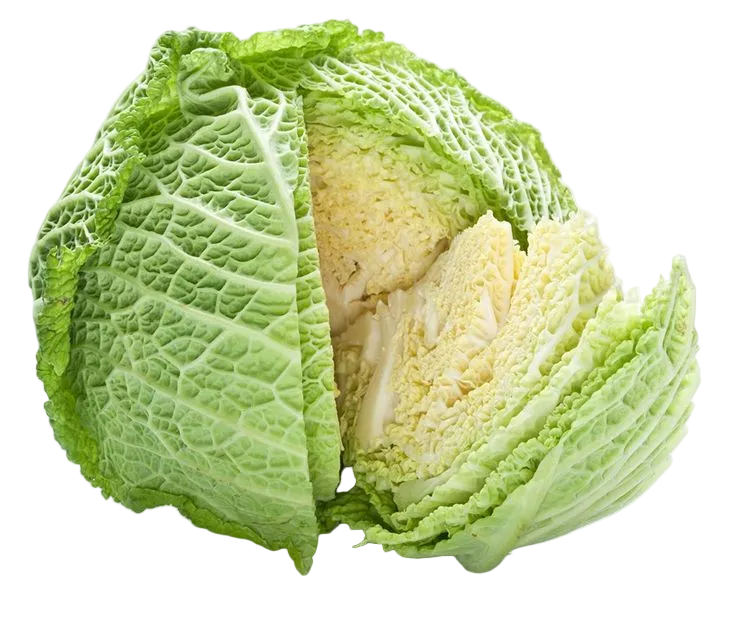 repollo crespo