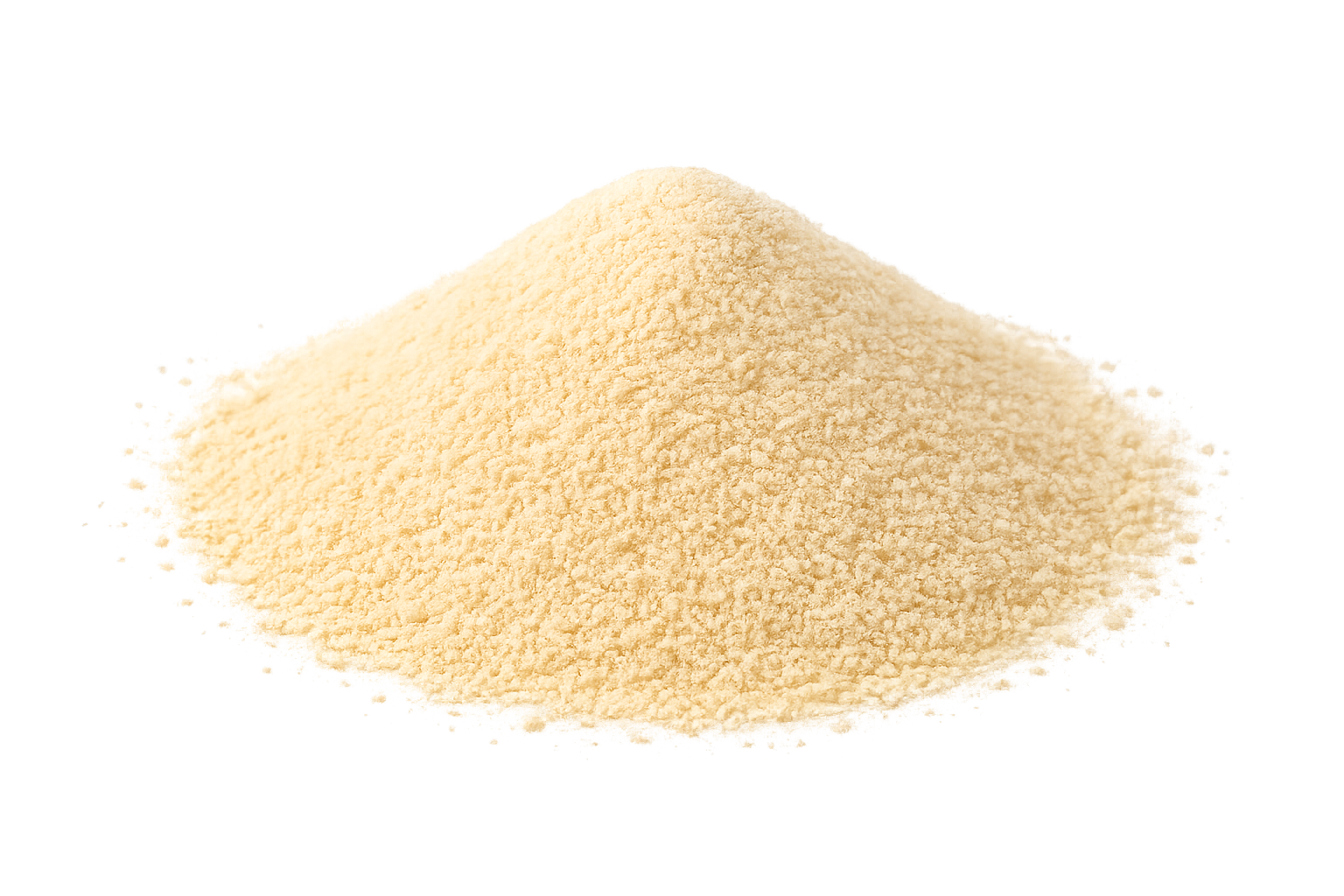 Ajo En Polvo 100Gr