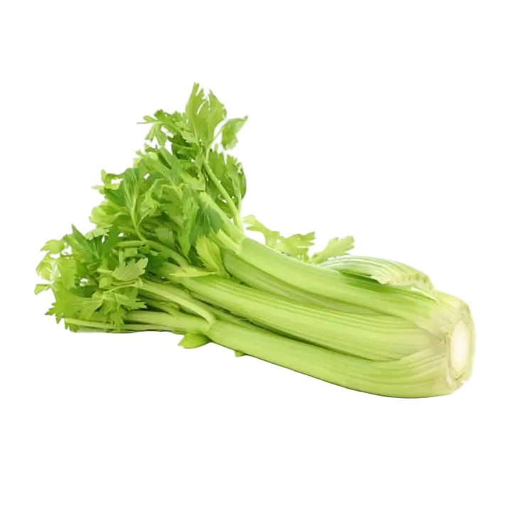 Apio Planta