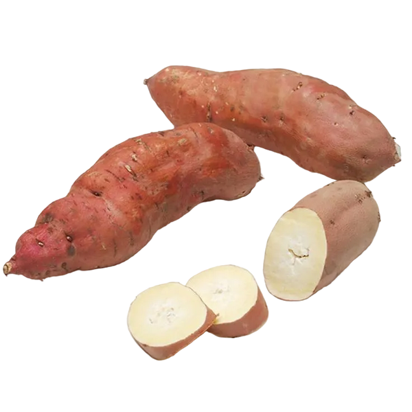 Boniato Arapey
