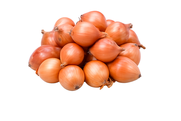 Cebollín