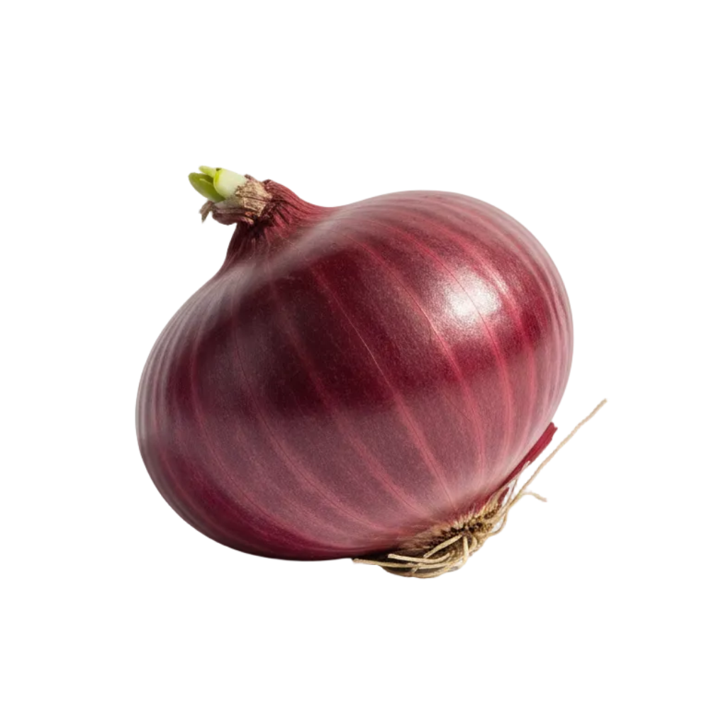 Cebolla Roja