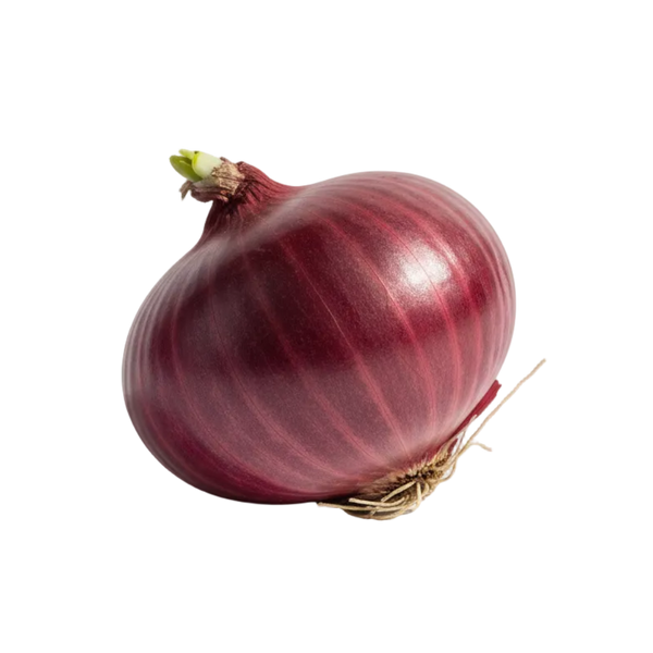 Cebolla Roja