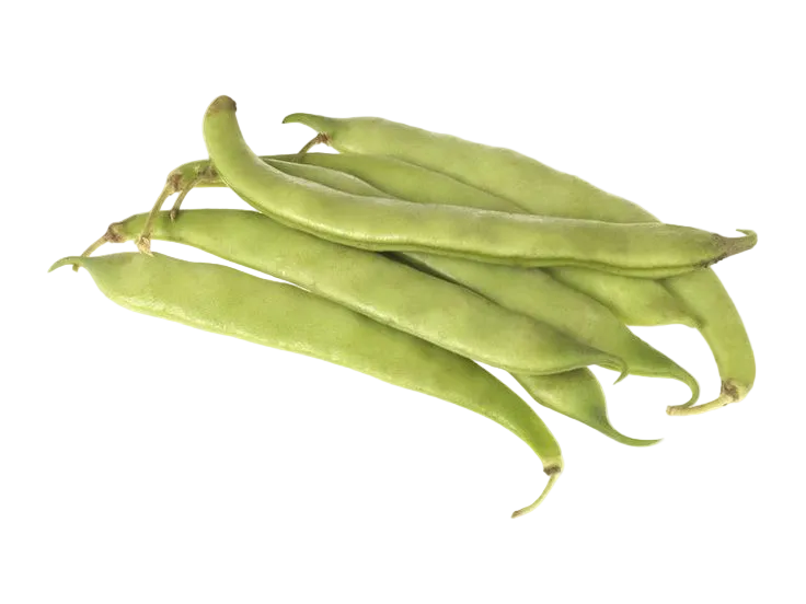 Chaucha Chata