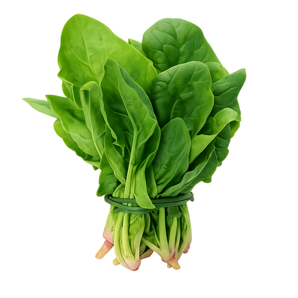 Espinaca