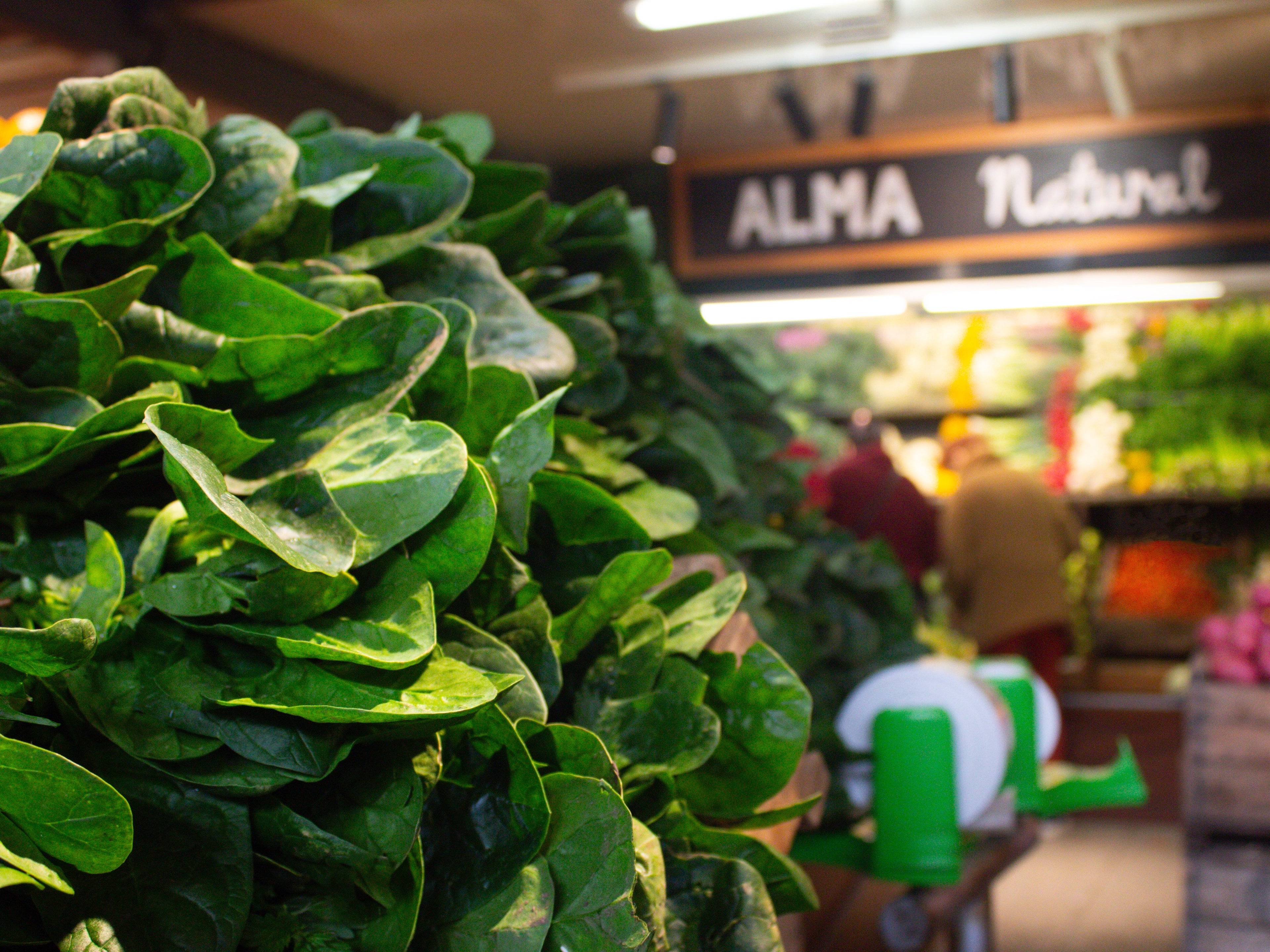 Hero image 03 Alma