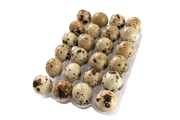 Huevos De Codorniz X24