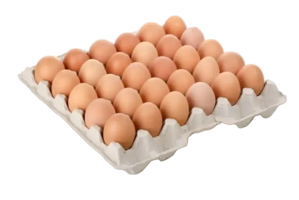 Huevos Ecologito X30