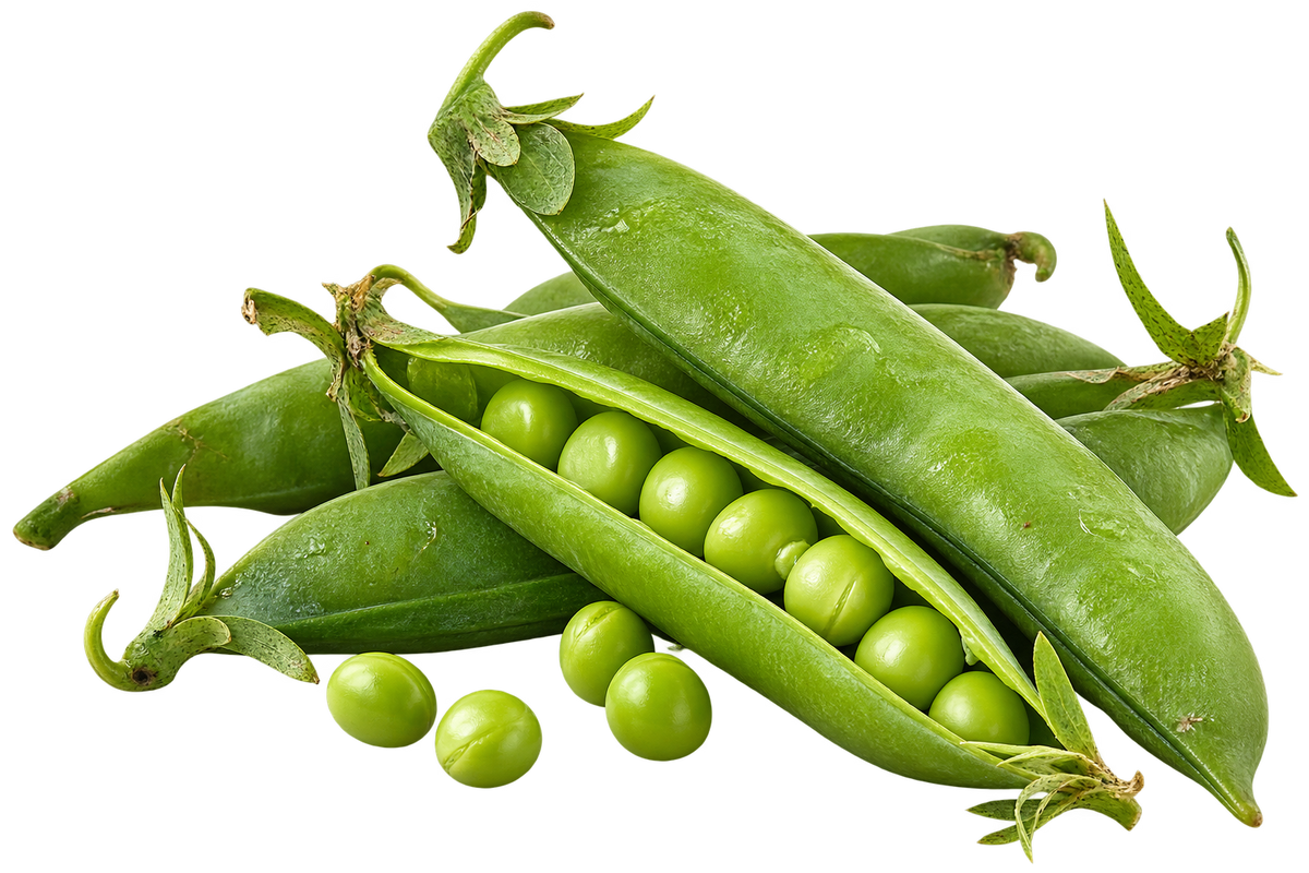 Arvejas