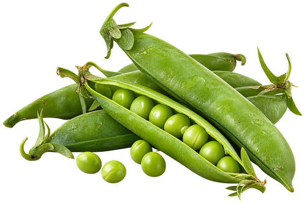 Arvejas