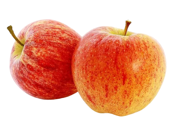 Manzana Gala
