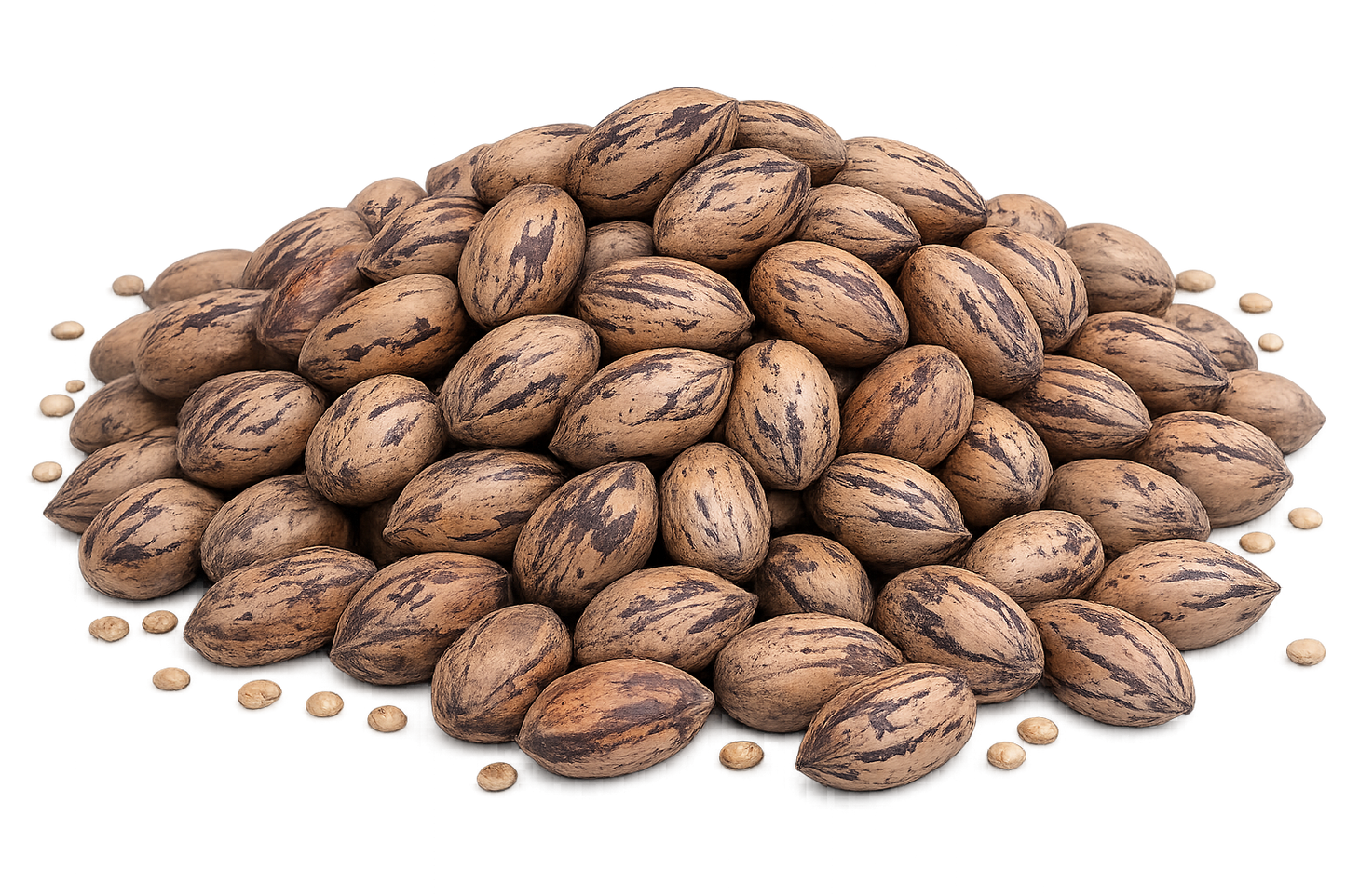 Nueces Pecan Con Cáscara