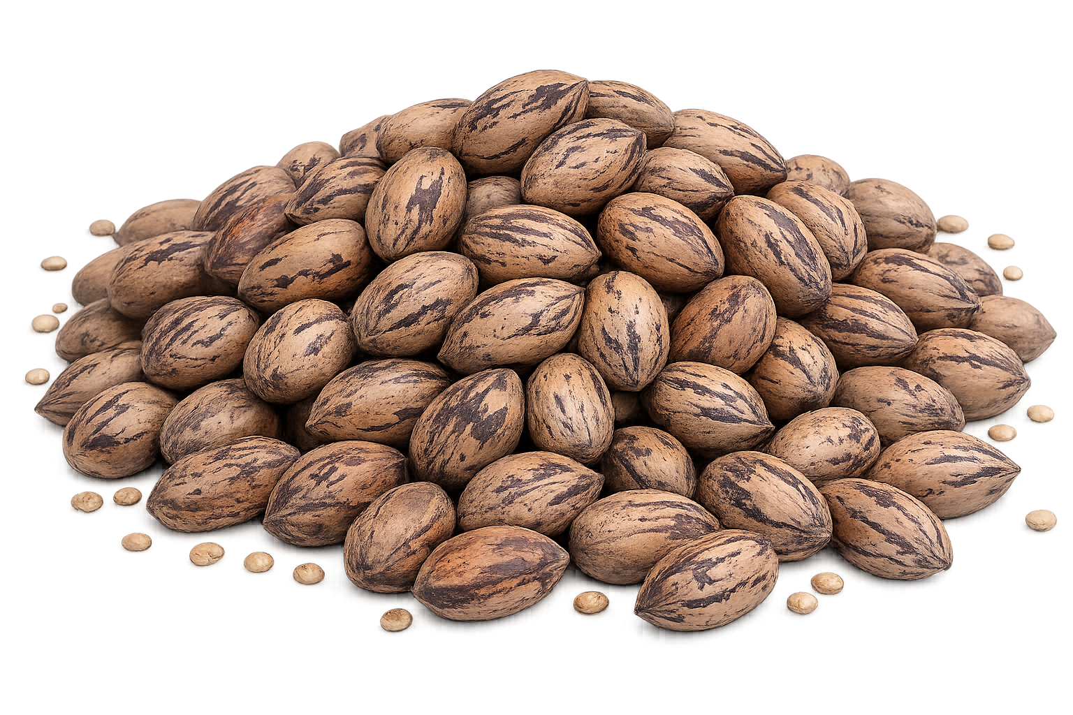 Nueces Pecan Con Cáscara