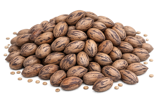 Nueces Pecan Con Cáscara