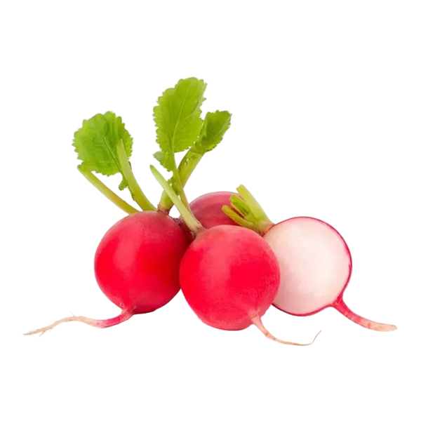 Rabanito