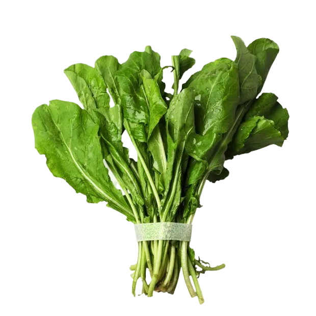 Rucula