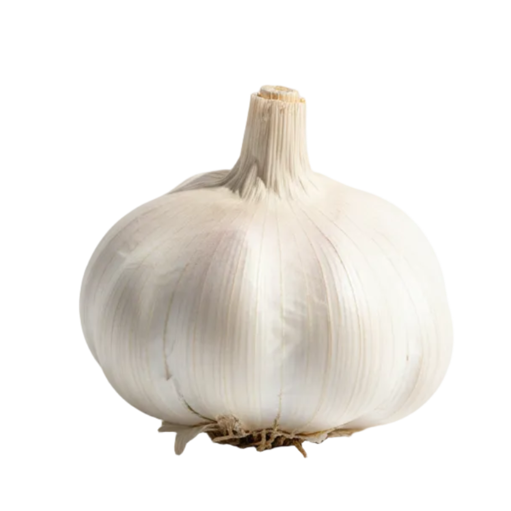 ajo