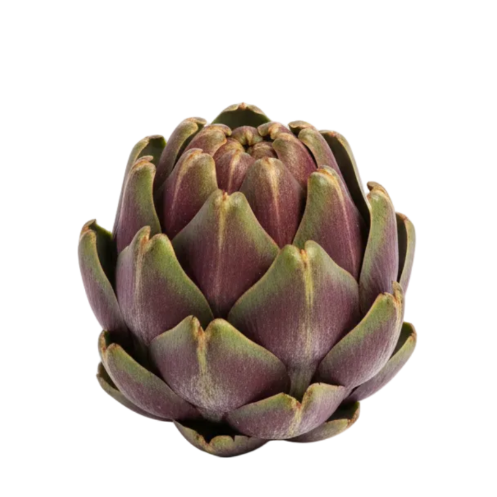 alcaucil
