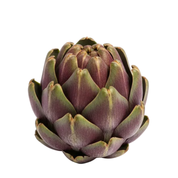 Alcaucil
