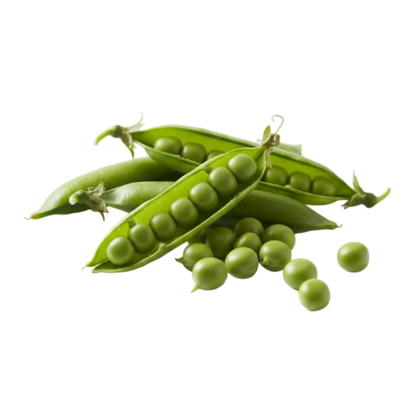 Arveja