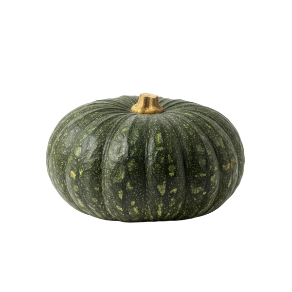 Cabutia