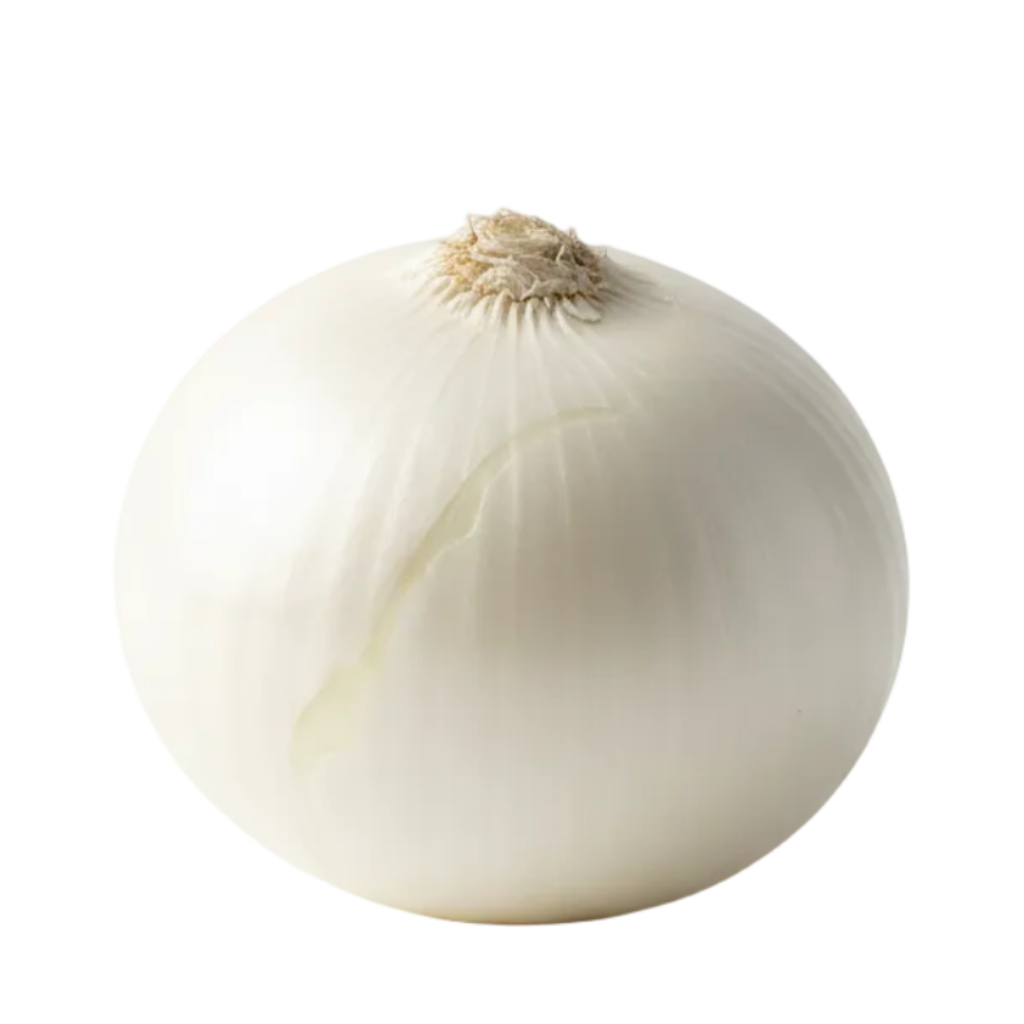 cebolla blanca