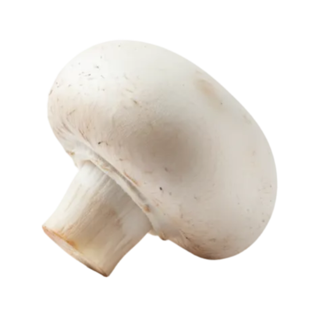 champiñon