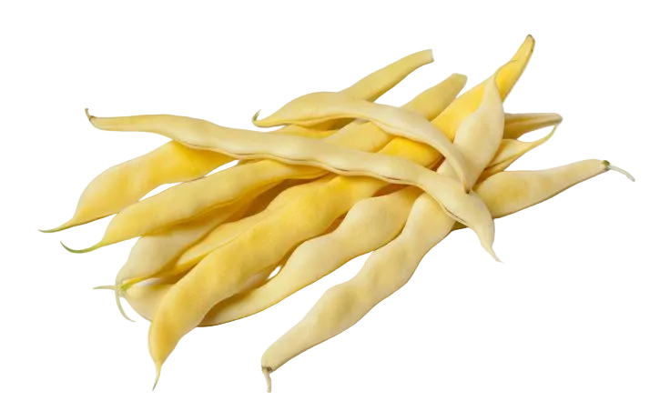 chaucha amarilla