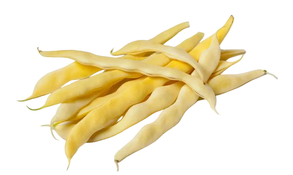 Chaucha Oro