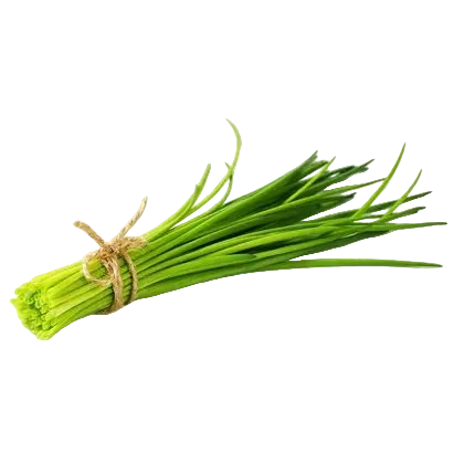 ciboulette