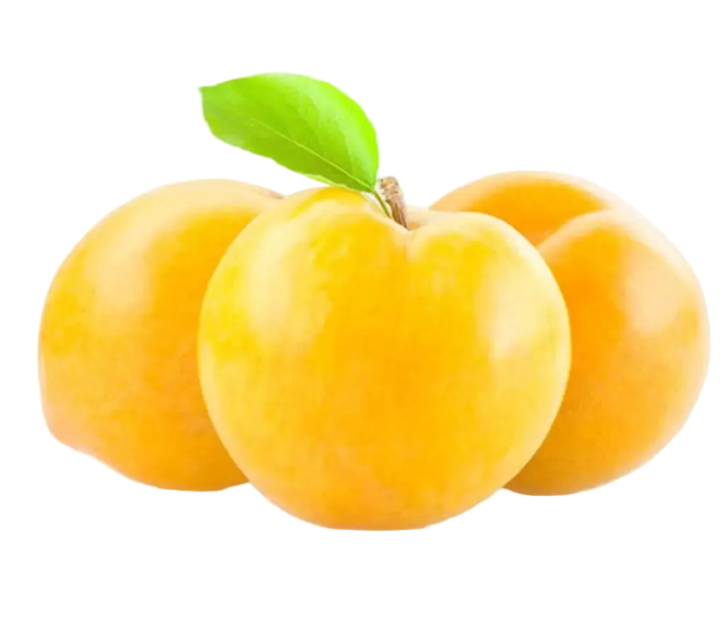 ciruela blanca
