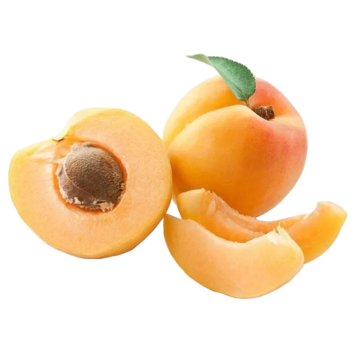 damasco