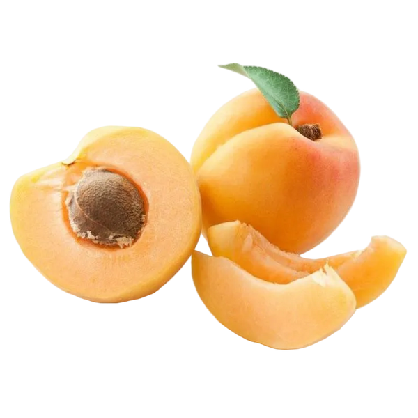 Damasco