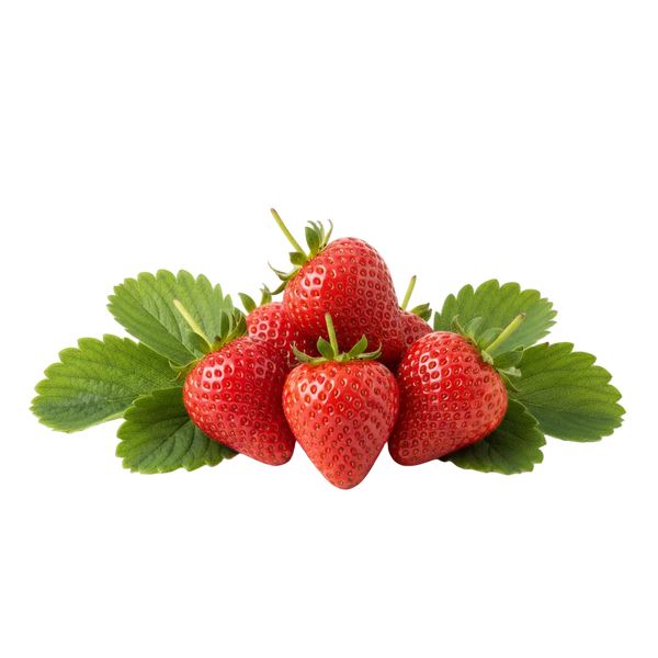 Frutilla