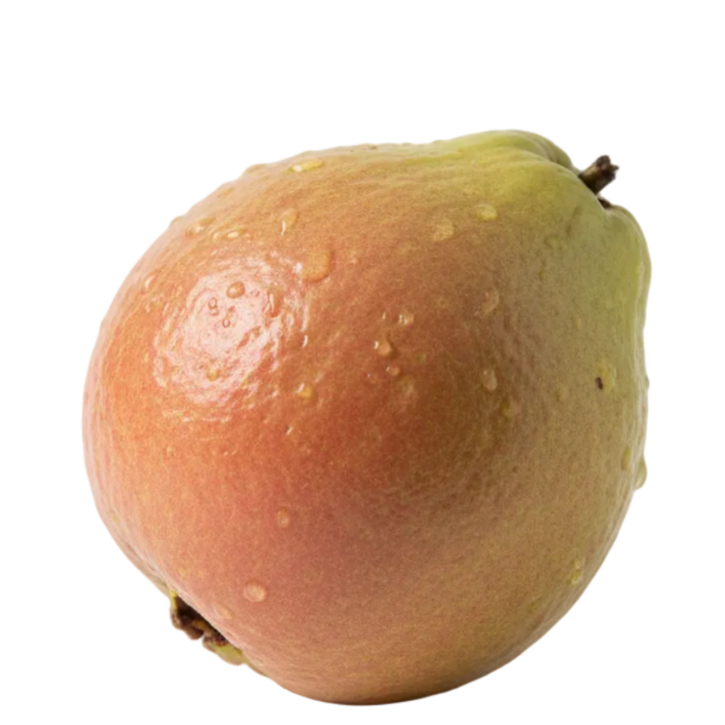 guayaba
