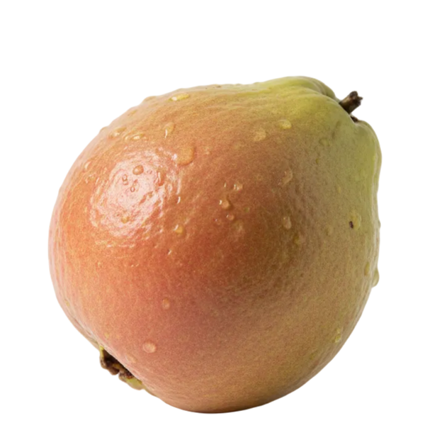 Guayaba