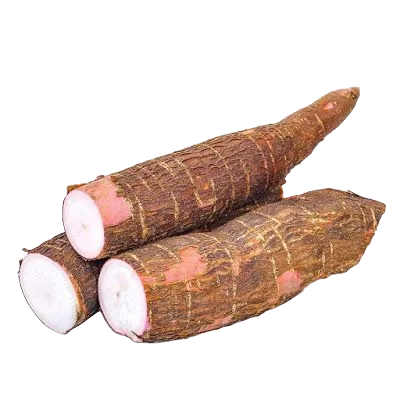 mandioca