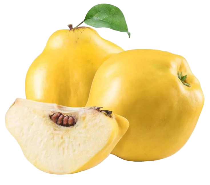 membrillo