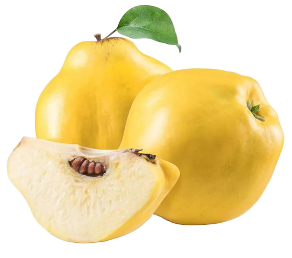 Membrillo