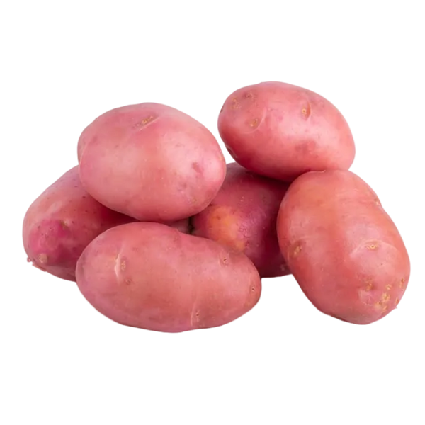 Papín Rosado
