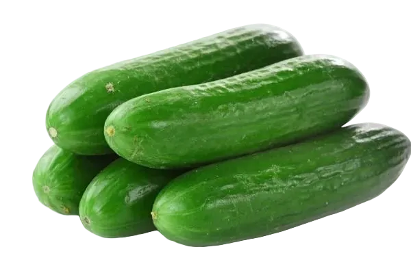 pepino