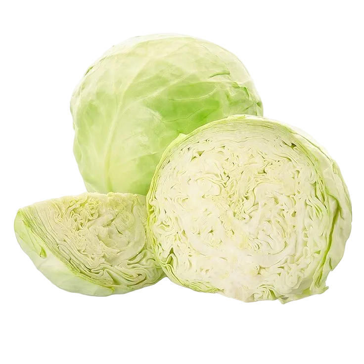 repollo blanco