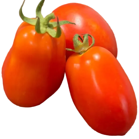 tomate perita