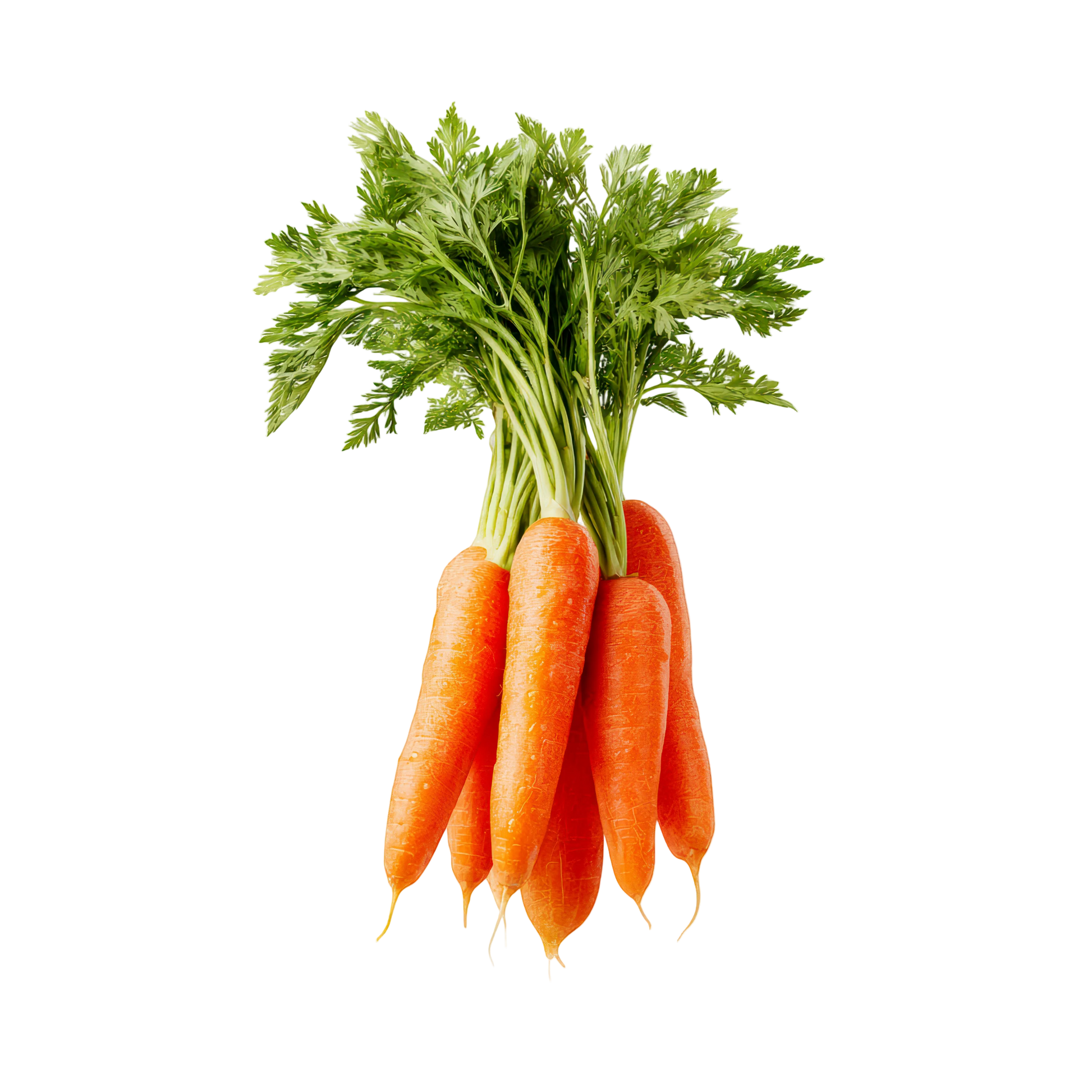 zanahorias