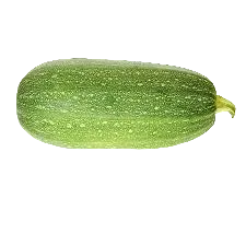 Zapallo Criollo